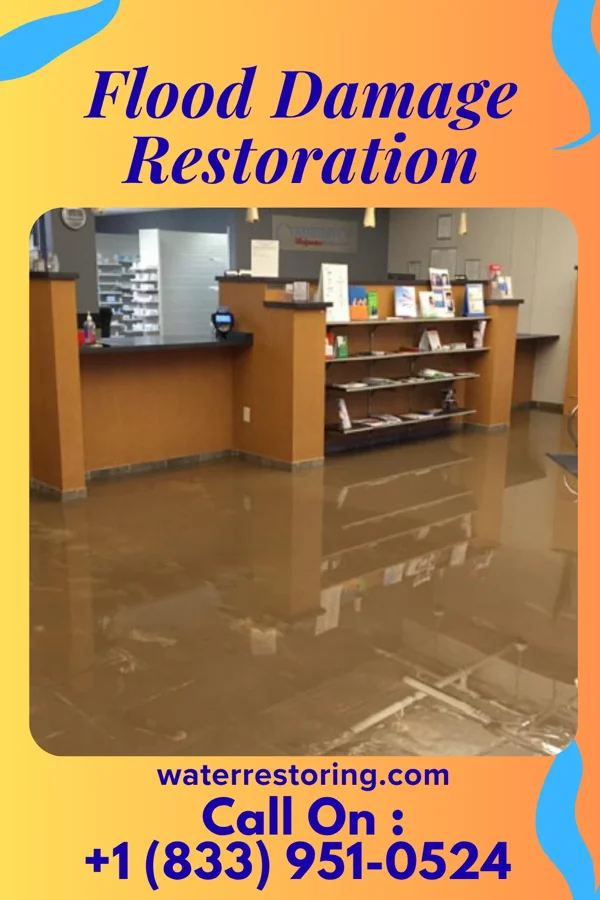 Flood Damage Restoration in Florence, IL