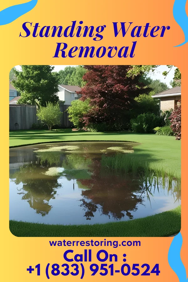 Standing Water Removal in Florence, IL